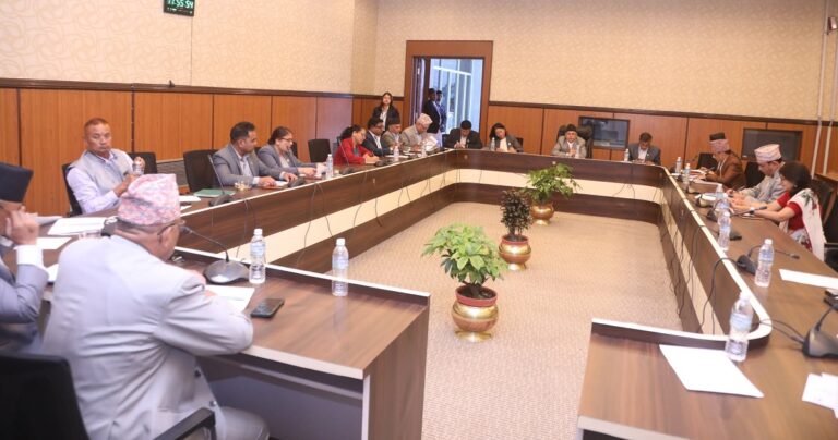 Members of Nepal’s parliamentary committee during a meeting to investigate the Federal Civil Service Bill’s cooling-off period clause.